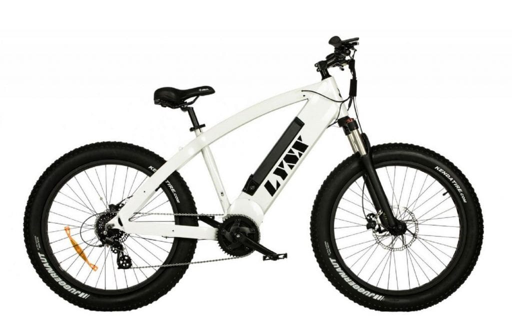 Elektrische Mountainbike