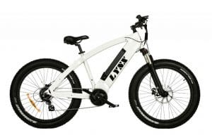 Elektrische Mountainbike