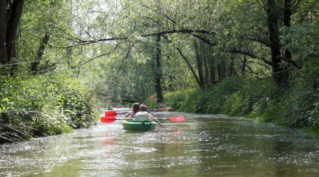 Kanoverhuur Biesbosch